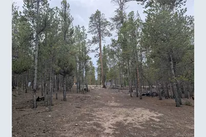 663 Spruce Drive, Twin Lakes, CO 80461 - Photo 8