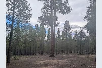 663 Spruce Drive, Twin Lakes, CO 80461 - Photo 1