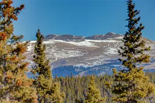 49 Silverheels Crossing, Fairplay, CO 80440 - Photo 46