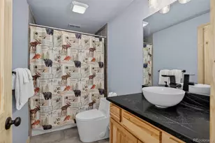 49 Silverheels Crossing, Fairplay, CO 80440 - Photo 32