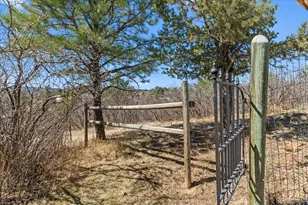 847 Coronado Dr, Sedalia, CO 80135 - Photo 30