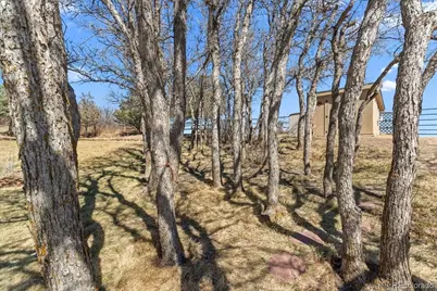 847 Coronado Drive, Sedalia, CO 80135 - Photo 32