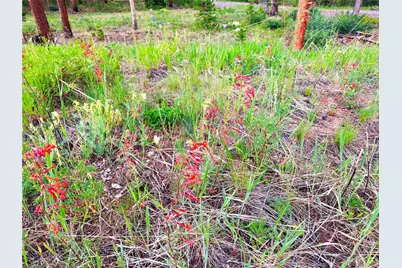 926 Nuthatch Drive, Alma, CO 80420 - Photo 30