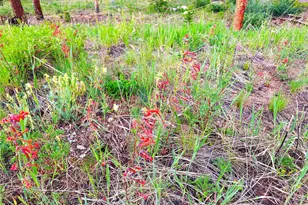 926 Nuthatch Dr, Alma, CO 80420 - Photo 30