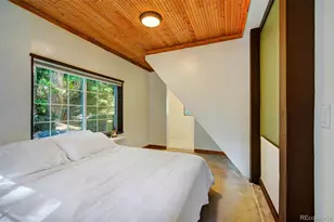 926 Nuthatch Dr, Alma, CO 80420 - Photo 20