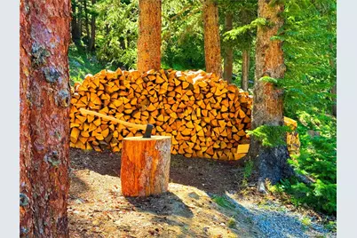 926 Nuthatch Drive, Alma, CO 80420 - Photo 8