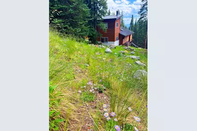 926 Nuthatch Drive, Alma, CO 80420 - Photo 28