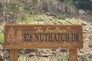 926 Nuthatch Dr, Alma, CO 80420 - Photo 36