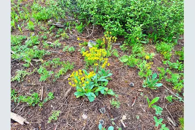 926 Nuthatch Drive, Alma, CO 80420 - Photo 32