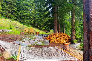 926 Nuthatch Dr, Alma, CO 80420 - Photo 6