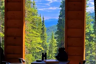 926 Nuthatch Dr, Alma, CO 80420 - Photo 12