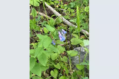 926 Nuthatch Drive, Alma, CO 80420 - Photo 34