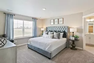 5723 Gelbray, Windsor, CO 80528 - Photo 20