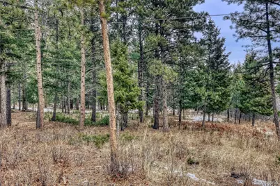 Rock Ridge Road, Palmer Lake, CO 80133 - Photo 12