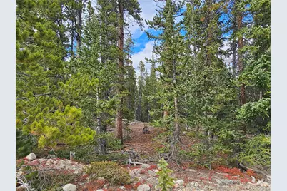 100 Miner"S Way, Fairplay, CO 80440 - Photo 2