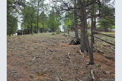 17 Deer Lake Circle, Divide, CO 80814 - Photo 16