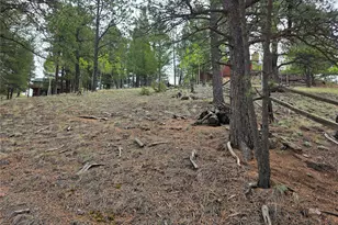 17 Deer Lake Cir, Divide, CO 80814 - Photo 16