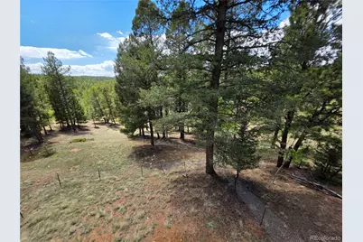 17 Deer Lake Circle, Divide, CO 80814 - Photo 14