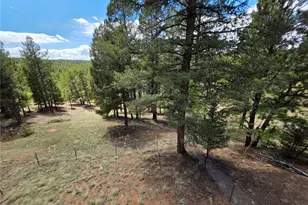 17 Deer Lake Cir, Divide, CO 80814 - Photo 14