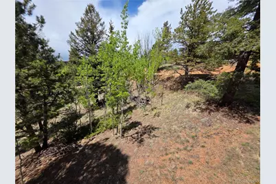 17 Deer Lake Circle, Divide, CO 80814 - Photo 10