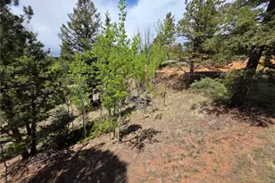 17 Deer Lake Cir, Divide, CO 80814 - Photo 10