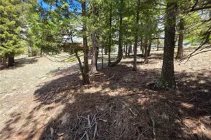 17 Deer Lake Cir, Divide, CO 80814 - Photo 18