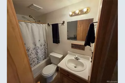 17 Deer Lake Circle, Divide, CO 80814 - Photo 42