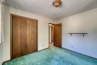 148 Cougar Road, Leadville, CO 80461 - Photo 36