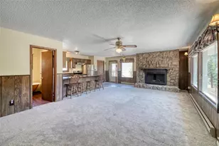 148 Cougar Rd, Leadville, CO 80461 - Photo 26