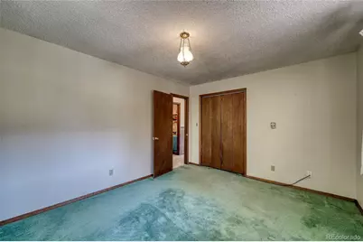 148 Cougar Road, Leadville, CO 80461 - Photo 38