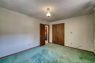 148 Cougar Rd, Leadville, CO 80461 - Photo 38