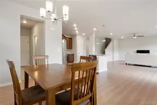 4413 Lyceum Ct, Timnath, CO 80547 - Photo 12