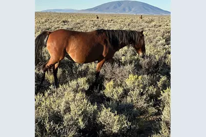 444 W Valley Dr, San Luis, CO 81152 - Photo 12