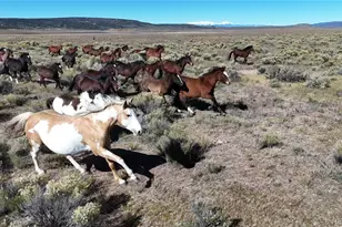 444 W Valley Dr, San Luis, CO 81152 - Photo 1