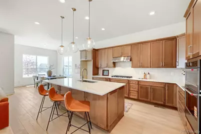 463 Basin Daisy Street, Castle Rock, CO 80104 - Photo 6