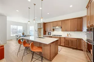 463 Basin Daisy St, Castle Rock, CO 80104 - Photo 6