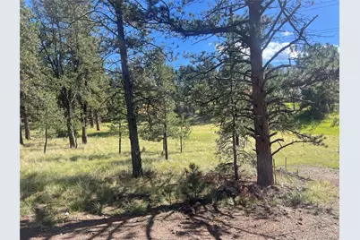 240 N Mountain Estates Road, Florissant, CO 80816 - Photo 48