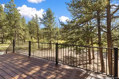 240 N Mountain Estates Road, Florissant, CO 80816 - Photo 38