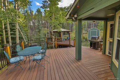 8481 S Warhawk Road, Conifer, CO 80433 - Photo 38