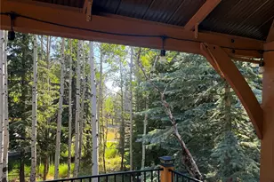8481 S Warhawk Rd, Conifer, CO 80433 - Photo 42
