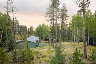 8481 S Warhawk Rd, Conifer, CO 80433 - Photo 46