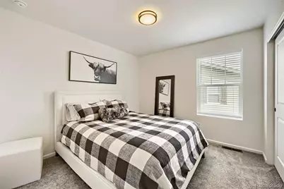 209 Felicity Loop, Castle Rock, CO 80109 - Photo 16