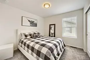 209 Felicity Loop, Castle Rock, CO 80109 - Photo 16