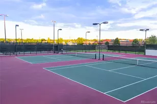 10549 Winterflower Way, Parker, CO 80134 - Photo 14