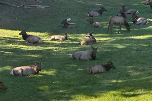 4112 Timbervale Dr, Evergreen, CO 80439 - Photo 4