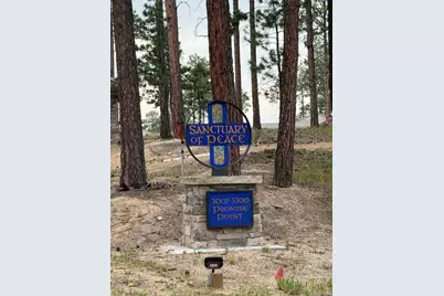 3145 Promise Point, Colorado Springs, CO 80921 - Photo 32