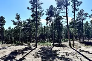 3145 Promise Pt, Colorado Springs, CO 80921 - Photo 24