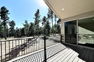 3145 Promise Pt, Colorado Springs, CO 80921 - Photo 12