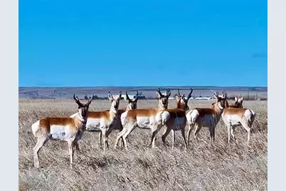 Parcel 1 S County Road 185, Byers, CO 80103 - Photo 2