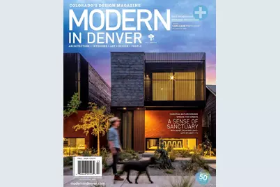 3837 N High Street, Denver, CO 80205 - Photo 2